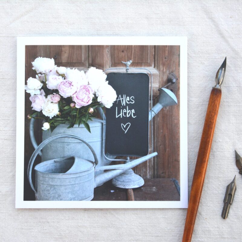 Pfingstrosen in Giesskanne