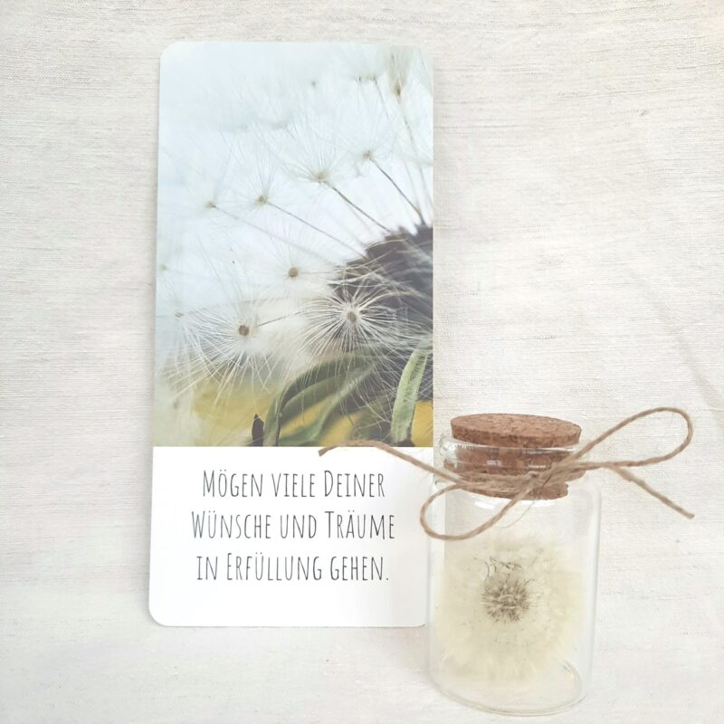 Pusteblume als Karte und im Glas