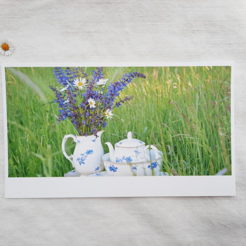 Grosigeschirr in der Wiese